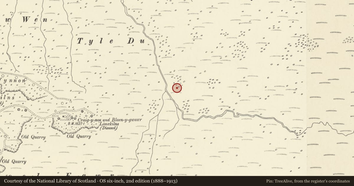 Ordnance Survey six-inch map, 2nd edition (1888–1913) covering the location of Cwm Clydach settlement, Llangadog, Carmarthenshire, with a pin at the register's coordinates