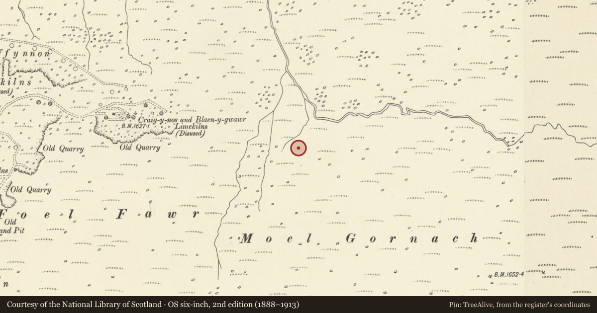 Ordnance Survey six-inch map, 2nd edition (1888–1913) covering the location of Moel Gornach settlement, Llangadog, Carmarthenshire, with a pin at the register's coordinates