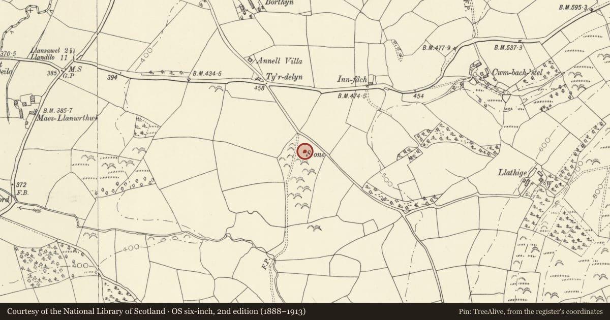 Ordnance Survey six-inch map, 2nd edition (1888–1913) covering the location of Nant Cilgwyn standing stone, Cynwyl Gaeo, Carmarthenshire, with a pin at the register's coordinates