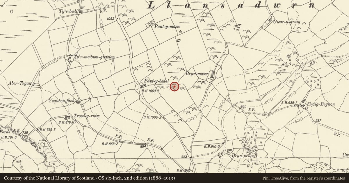 Ordnance Survey six-inch map, 2nd edition (1888–1913) covering the location of Mynydd Llansadwrn ring cairn, Carmarthenshire, with a pin at the register's coordinates