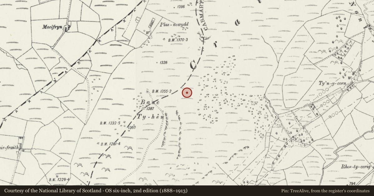 Ordnance Survey six-inch map, 2nd edition (1888–1913) covering the location of Craig Twrch round cairn, Cynwyl Gaeo, Carmarthenshire, with a pin at the register's coordinates