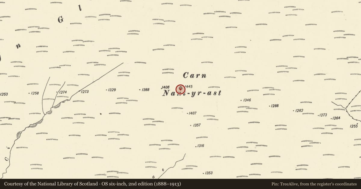 Ordnance Survey six-inch map, 2nd edition (1888–1913) covering the location of Carn Nant-yr-ast round cairn, Cynwyl Gaeo, Carmarthenshire, with a pin at the register's coordinates