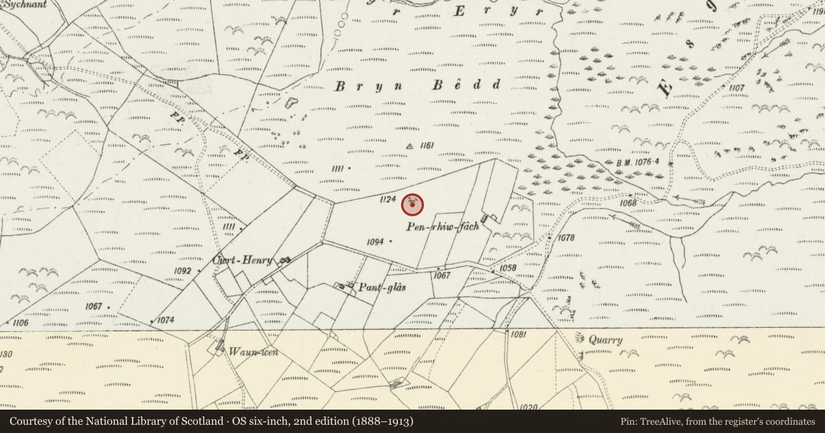 Ordnance Survey six-inch map, 2nd edition (1888–1913) covering the location of Bryn Bedd round barrow, Cynwyl Gaeo, Carmarthenshire, with a pin at the register's coordinates