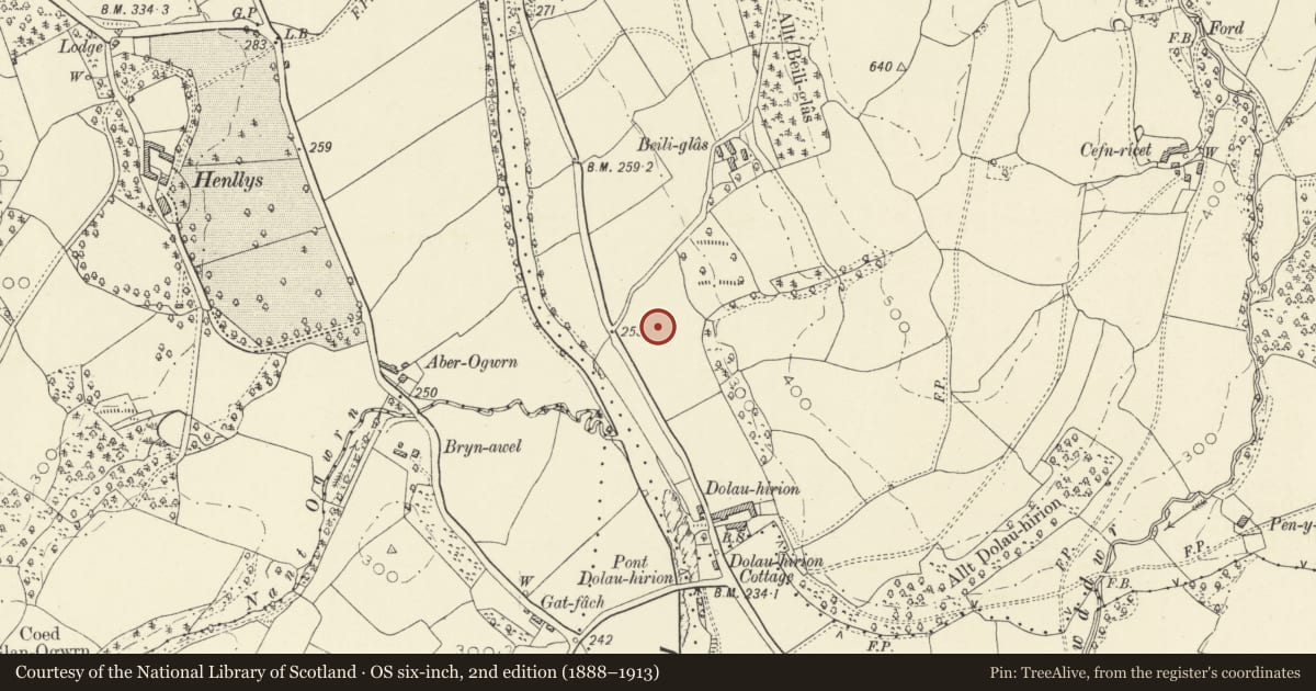 Ordnance Survey six-inch map, 2nd edition (1888–1913) covering the location of Road, Cynwyl Gaeo, Carmarthenshire, with a pin at the register's coordinates
