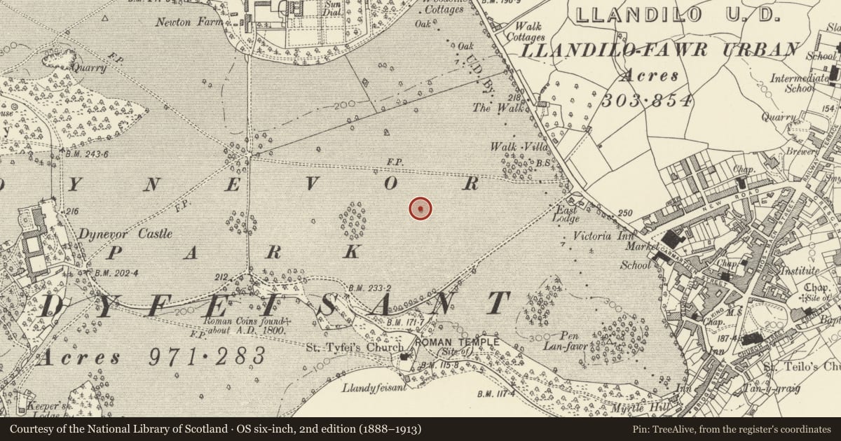 Ordnance Survey six-inch map, 2nd edition (1888–1913) covering the location of Dinefwr Park Roman Forts, Llandeilo, Carmarthenshire, with a pin at the register's coordinates