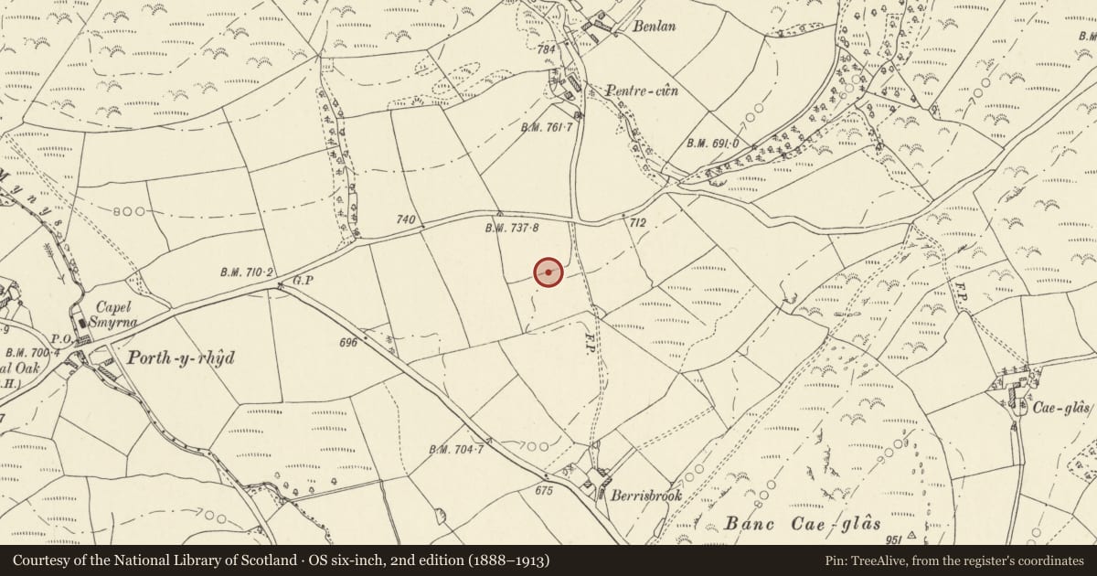 Ordnance Survey six-inch map, 2nd edition (1888–1913) covering the location of Roman Road c. 400m S of Benlan Farm, Cilycwm, Carmarthenshire, with a pin at the register's coordinates