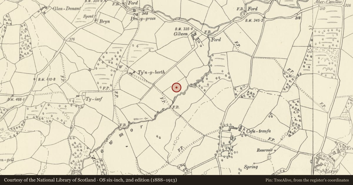 Ordnance Survey six-inch map, 2nd edition (1888–1913) covering the location of Roman Road c. 250m SSW of Gilwen Farm, Cilycwm, Carmarthenshire, with a pin at the register's coordinates