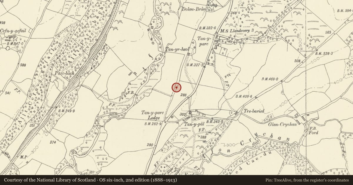 Ordnance Survey six-inch map, 2nd edition (1888–1913) covering the location of Roman Road c. 150m NW of Tal-y-Pal, Llanfair-ar-y-Bryn, Carmarthenshire, with a pin at the register's coordinates