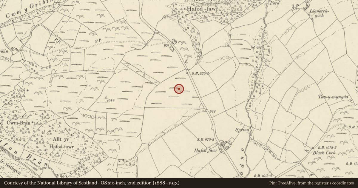 Ordnance Survey six-inch map, 2nd edition (1888–1913) covering the location of Hafod Fawr Roman Camp, Myddfai, Carmarthenshire, with a pin at the register's coordinates