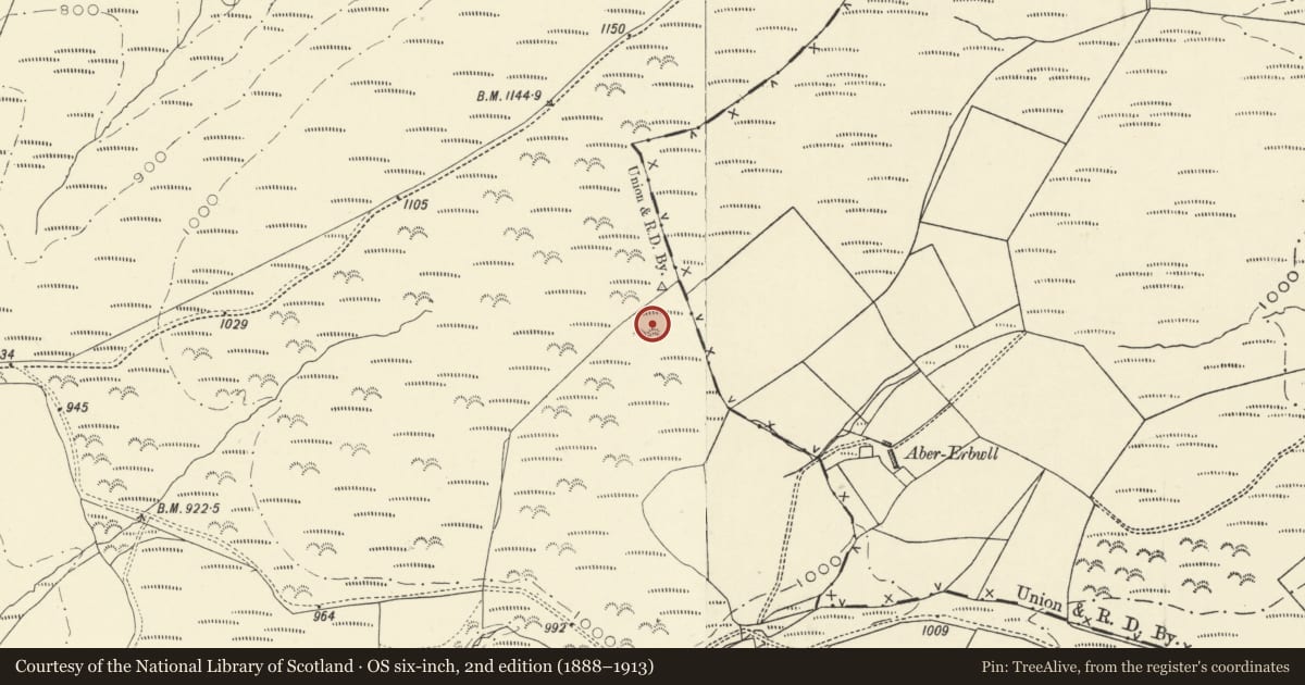 Ordnance Survey six-inch map, 2nd edition (1888–1913) covering the location of Abererbwll Roman fort, Llanfair-ar-y-Bryn, Carmarthenshire, with a pin at the register's coordinates