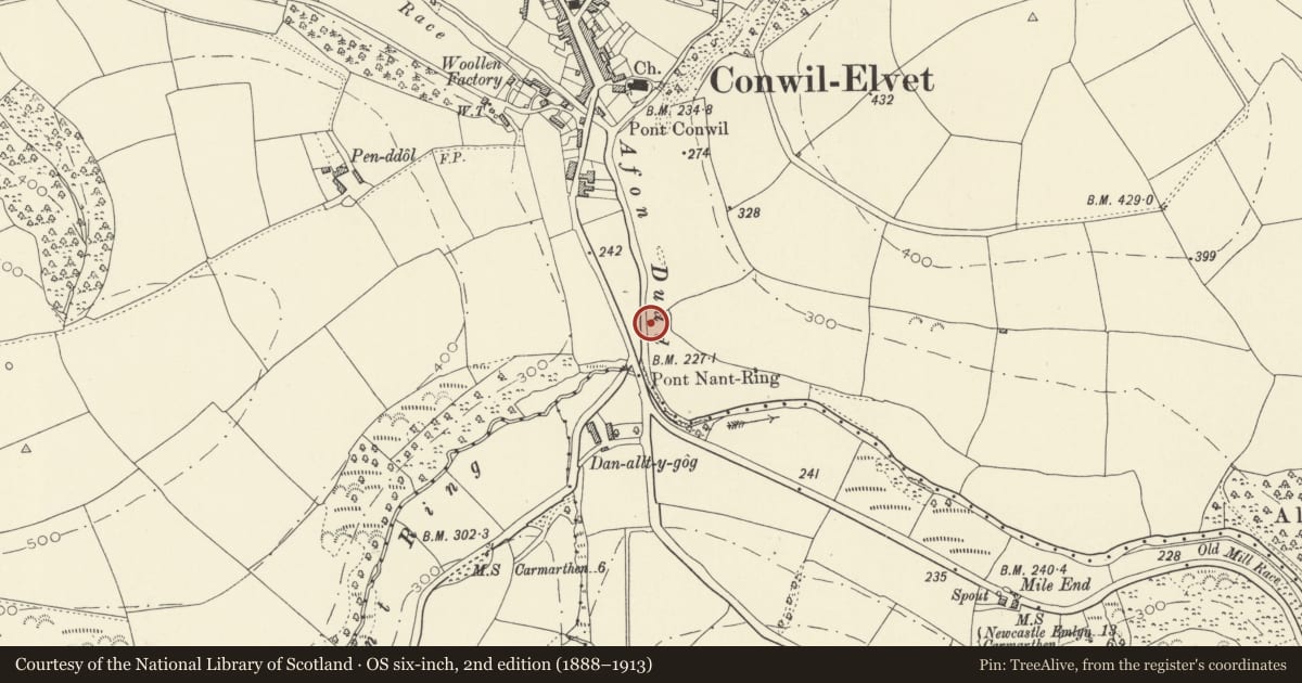 Ordnance Survey six-inch map, 2nd edition (1888–1913) covering the location of Cynwyl Elfed Anti-invasion Defences, Carmarthenshire, with a pin at the register's coordinates