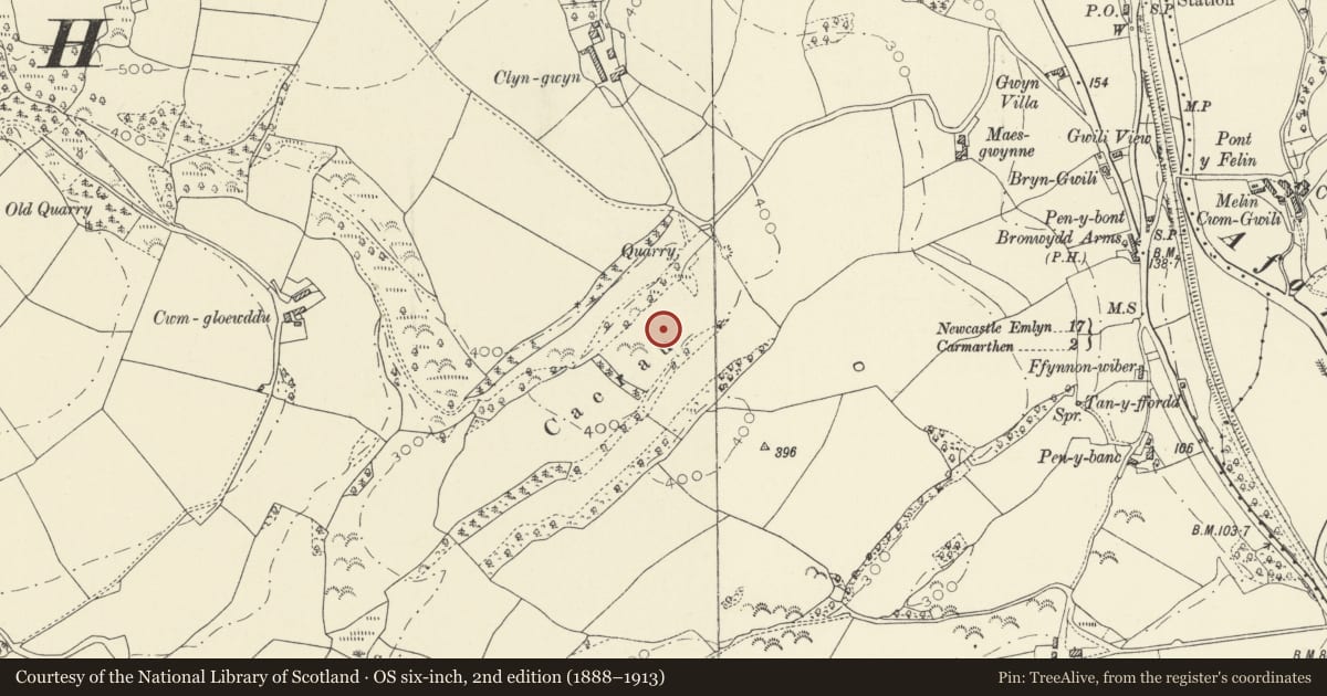 Ordnance Survey six-inch map, 2nd edition (1888–1913) covering the location of Defended Enclosure 350m S of Clungwyn, Newchurch and Merthyr, Carmarthenshire, with a pin at the register's coordinates