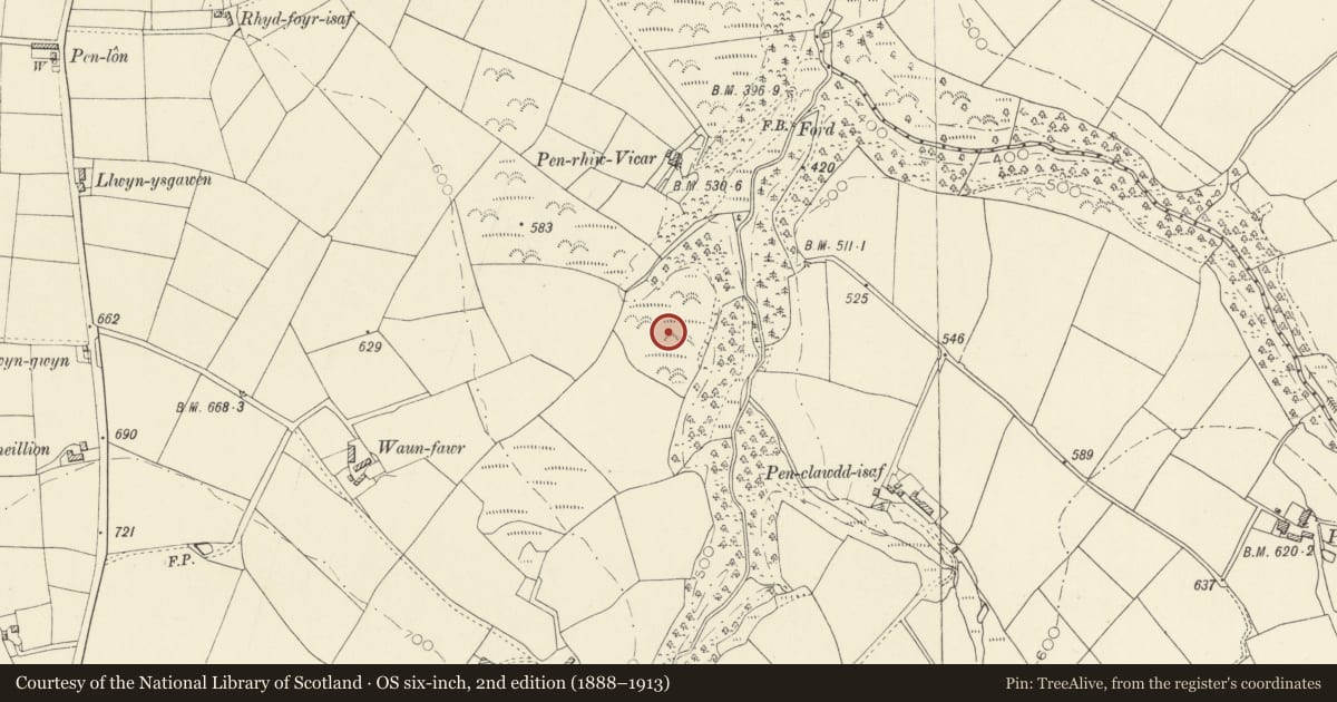 Ordnance Survey six-inch map, 2nd edition (1888–1913) covering the location of Defended Enclosure 500m NNE of Blaen-maenog, Llangeler, Carmarthenshire, with a pin at the register's coordinates