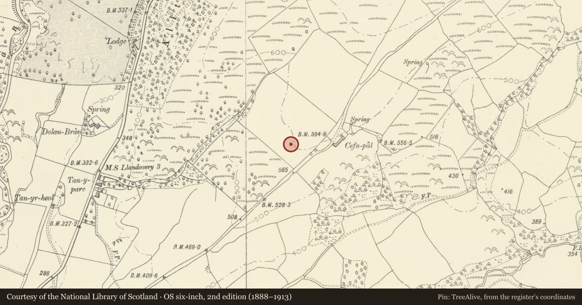 Ordnance Survey six-inch map, 2nd edition (1888–1913) covering the location of Cefn Pal Defended Enclosure, Llanfair-ar-y-Bryn, Carmarthenshire, with a pin at the register's coordinates