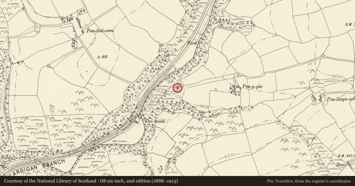 Ordnance Survey six-inch map, 2nd edition (1888–1913) covering the location of Defended Enclosure 300m W of Pen y Gar, Llanpumsaint, Carmarthenshire, with a pin at the register's coordinates