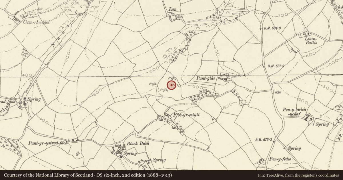 Ordnance Survey six-inch map, 2nd edition (1888–1913) covering the location of Defended Enclosure 300m W of Pant-glas, Abergwili, Carmarthenshire, with a pin at the register's coordinates