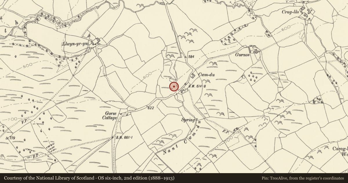 Ordnance Survey six-inch map, 2nd edition (1888–1913) covering the location of Cwmdu Defended Enclosure, Llangadog, Carmarthenshire, with a pin at the register's coordinates