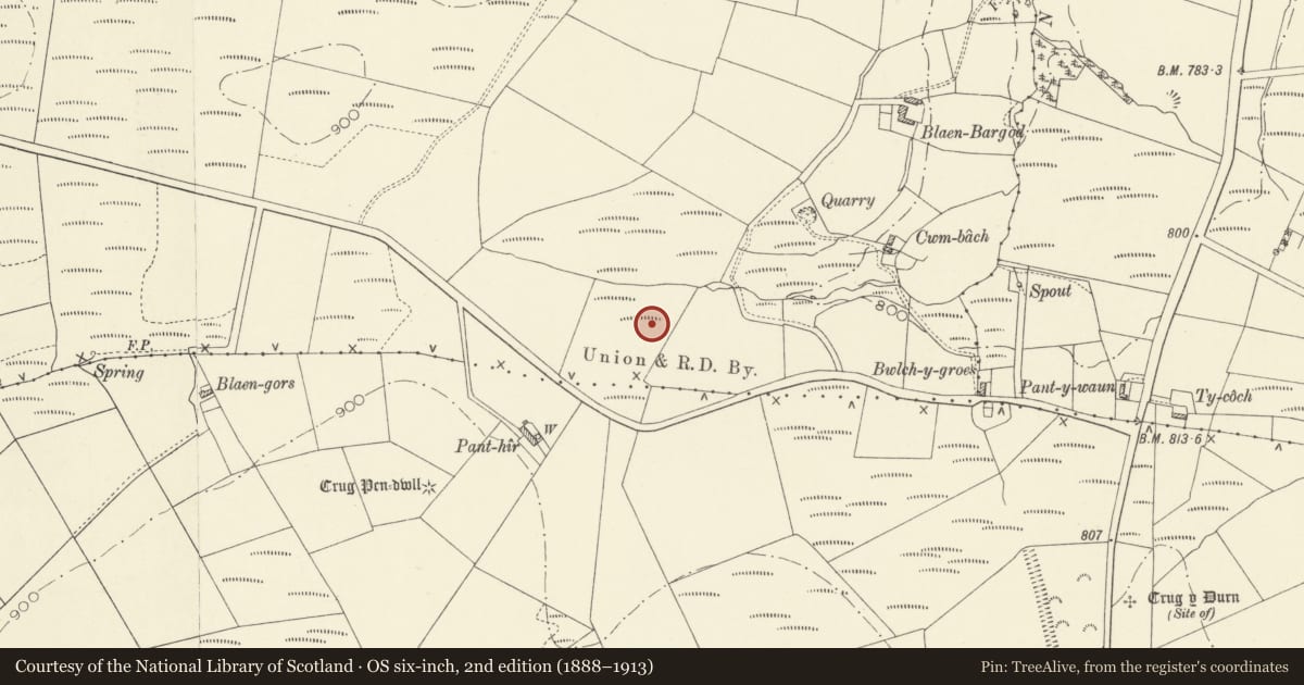 Ordnance Survey six-inch map, 2nd edition (1888–1913) covering the location of Panthir Defended Enclosure, Llangeler, Carmarthenshire, with a pin at the register's coordinates