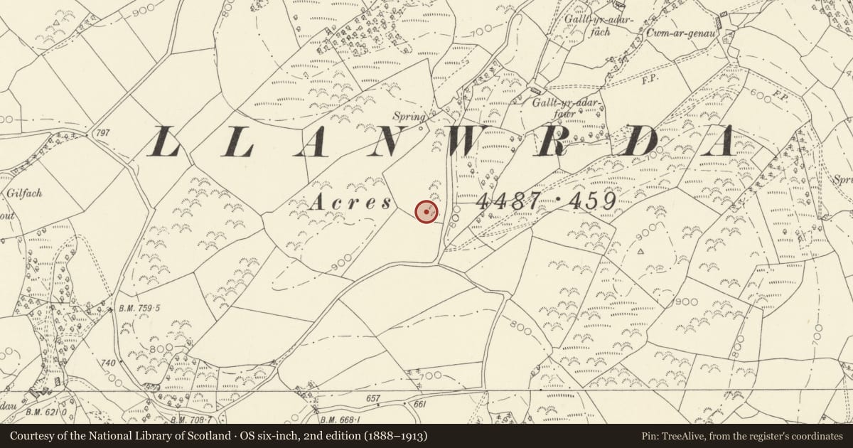 Ordnance Survey six-inch map, 2nd edition (1888–1913) covering the location of Roman Fortlet 300m SW of Gallt yr Adar Fawr, Llanwrda, Carmarthenshire, with a pin at the register's coordinates