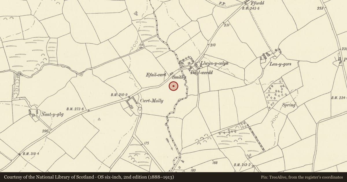 Ordnance Survey six-inch map, 2nd edition (1888–1913) covering the location of Cwrt Malle moated site, Llangynog, Carmarthenshire, with a pin at the register's coordinates