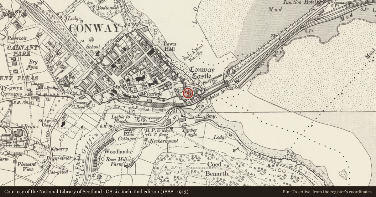 Ordnance Survey six-inch map, 2nd edition (1888–1913) covering the location of Castell Conwy, with a pin at the register's coordinates