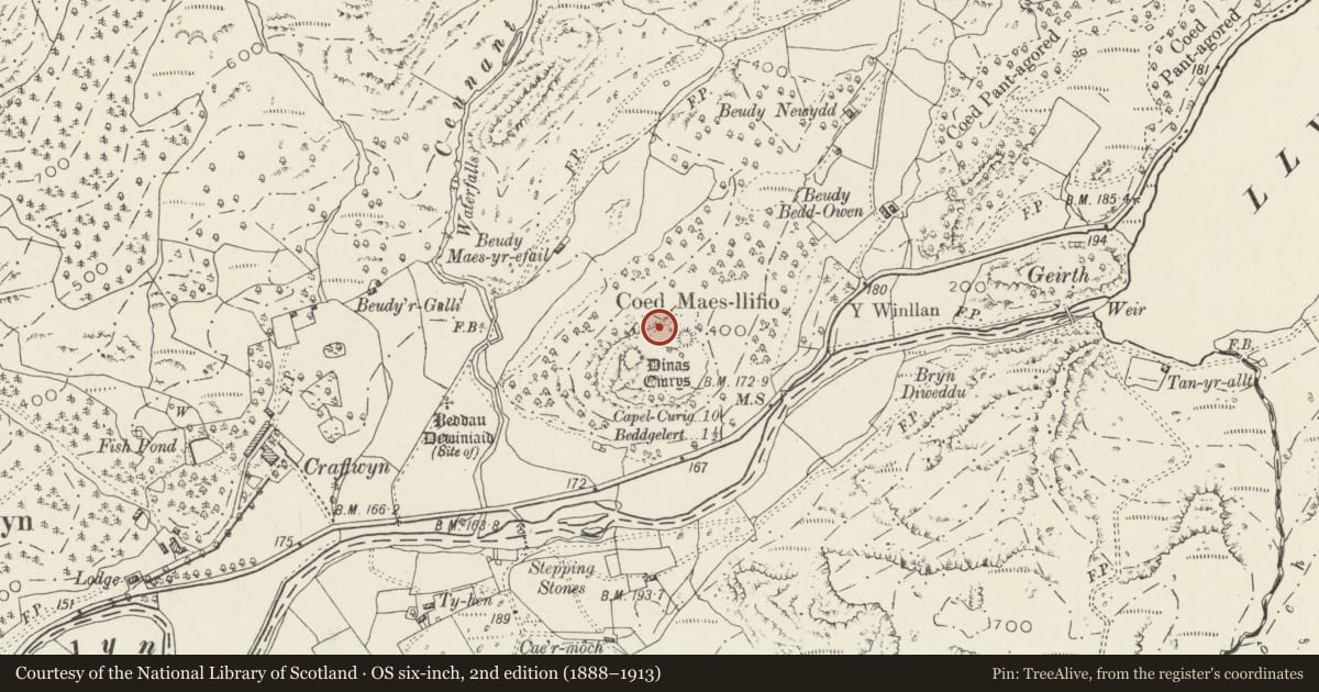 Ordnance Survey six-inch map, 2nd edition (1888–1913) covering the location of Dinas Emrys Camp, Beddgelert, Gwynedd, with a pin at the register's coordinates