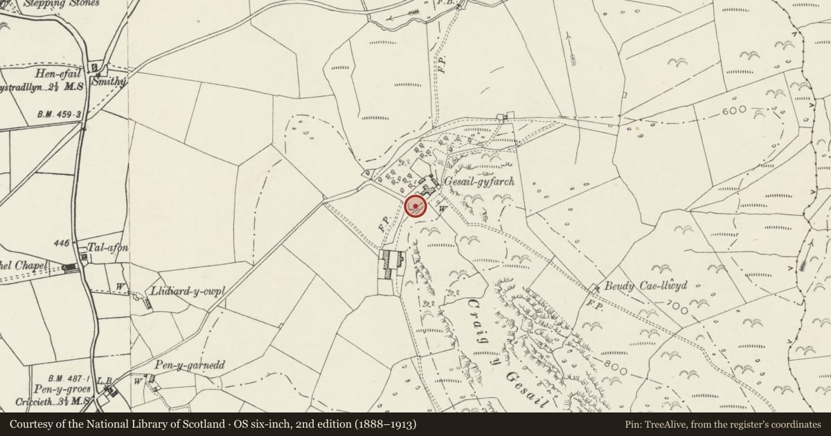 Ordnance Survey six-inch map, 2nd edition (1888–1913) covering the location of Gesail Gyfarch Inscribed Stone, Dolbenmaen, Gwynedd, with a pin at the register's coordinates