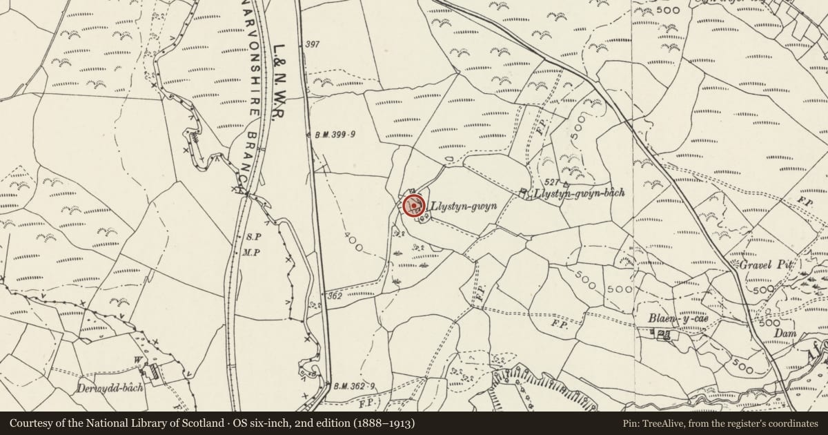 Ordnance Survey six-inch map, 2nd edition (1888–1913) covering the location of Llystyn Gwyn Inscribed Stone, Dolbenmaen, Gwynedd, with a pin at the register's coordinates