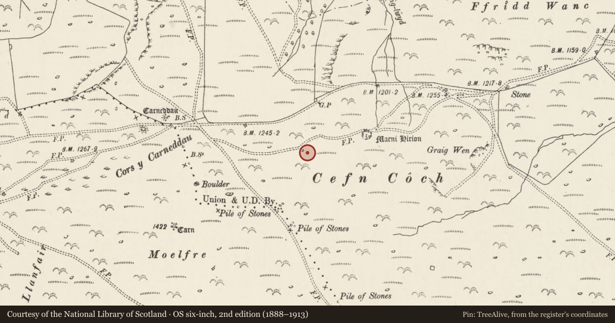 Ordnance Survey six-inch map, 2nd edition (1888–1913) covering the location of Penmaenmawr Stone Circle, Conwy, with a pin at the register's coordinates