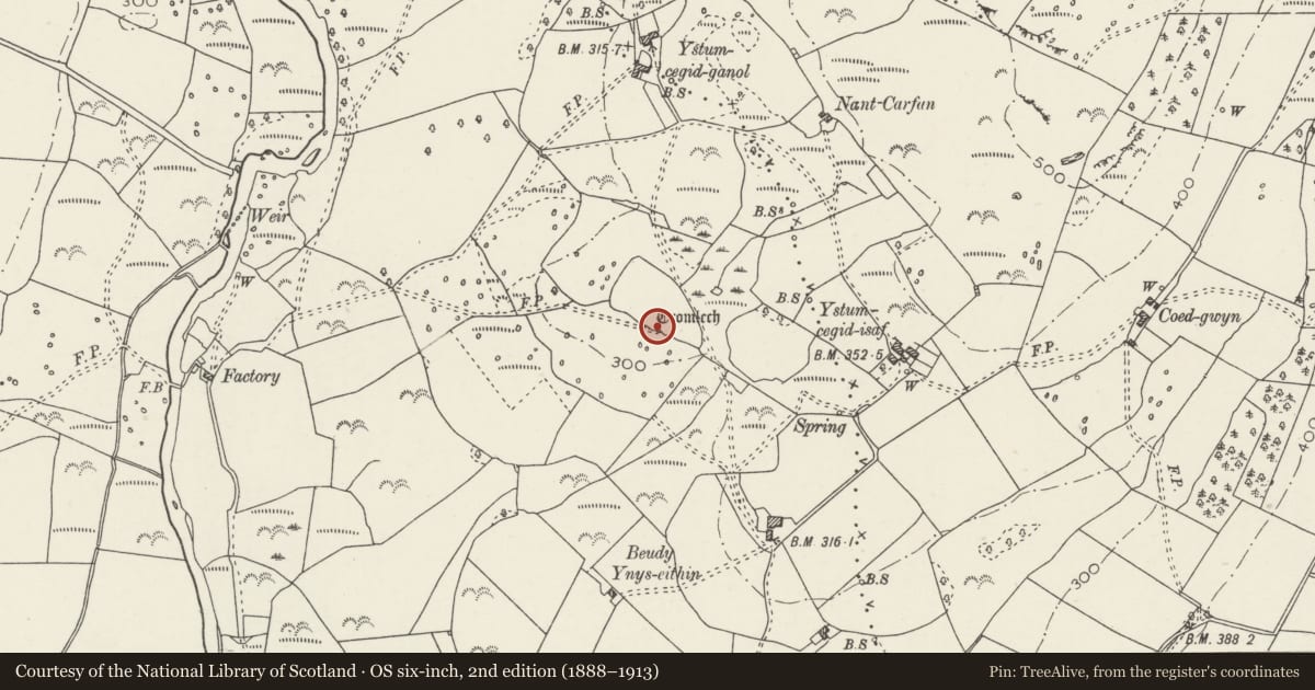 Ordnance Survey six-inch map, 2nd edition (1888–1913) covering the location of Ystum-Cegid Burial Chamber, Llanystumdwy, Gwynedd, with a pin at the register's coordinates