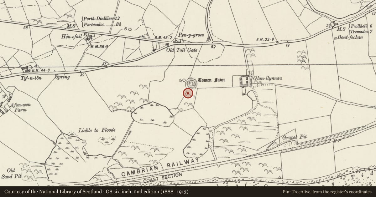 Ordnance Survey six-inch map, 2nd edition (1888–1913) covering the location of Tomen Fawr, Llanystumdwy, Gwynedd, with a pin at the register's coordinates