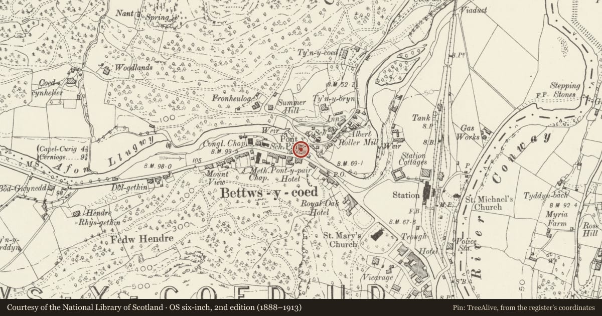Ordnance Survey six-inch map, 2nd edition (1888–1913) covering the location of Pont y Pair, Betws-y-Coed, Conwy, with a pin at the register's coordinates