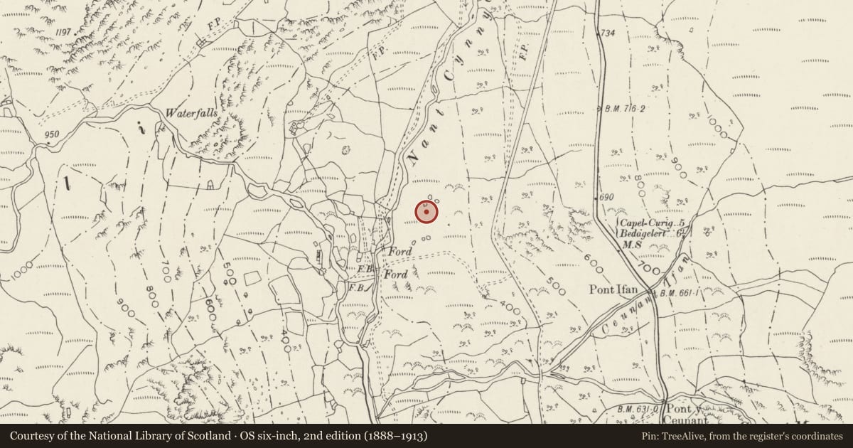 Ordnance Survey six-inch map, 2nd edition (1888–1913) covering the location of Cwm Dyli Ancient Village, Beddgelert, Gwynedd, with a pin at the register's coordinates