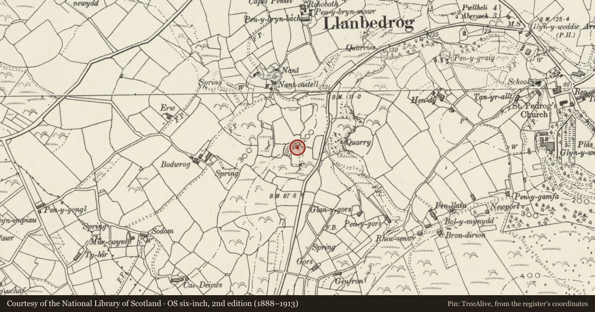Ordnance Survey six-inch map, 2nd edition (1888–1913) covering the location of Nant Castell Camp, Llanbedrog, Gwynedd, with a pin at the register's coordinates