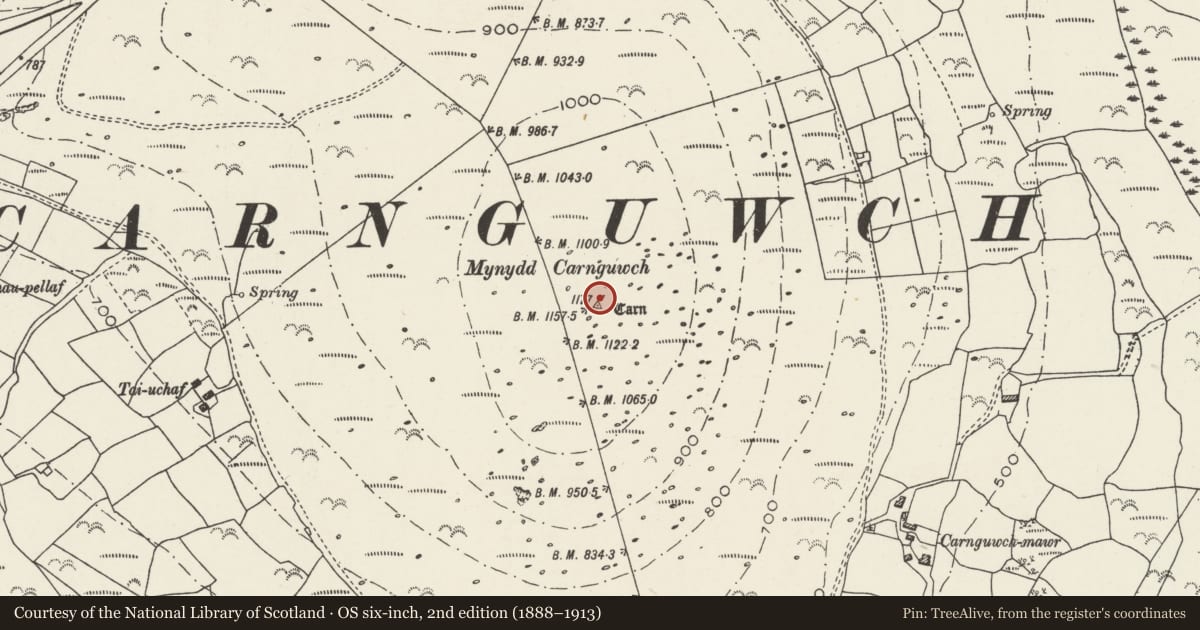 Ordnance Survey six-inch map, 2nd edition (1888–1913) covering the location of Carnguwch Cairn, Pistyll, Gwynedd, with a pin at the register's coordinates