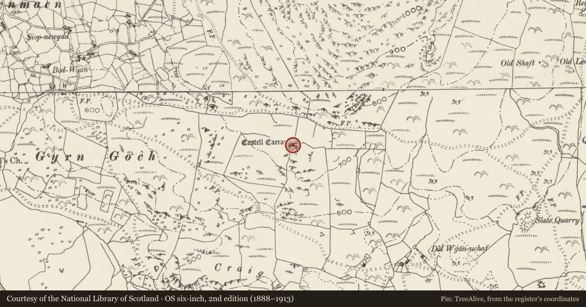 Ordnance Survey six-inch map, 2nd edition (1888–1913) covering the location of Castell Caerau, Dolbenmaen, Gwynedd, with a pin at the register's coordinates