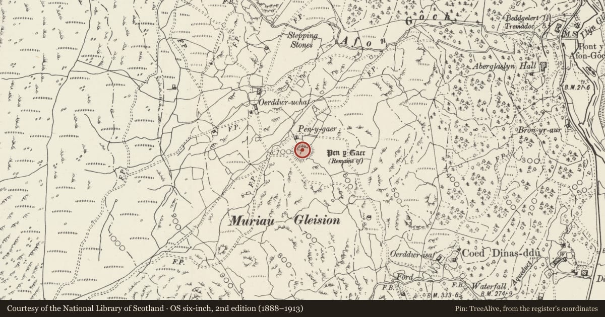 Ordnance Survey six-inch map, 2nd edition (1888–1913) covering the location of Pen y Gaer Camp, Beddgelert, Gwynedd, with a pin at the register's coordinates