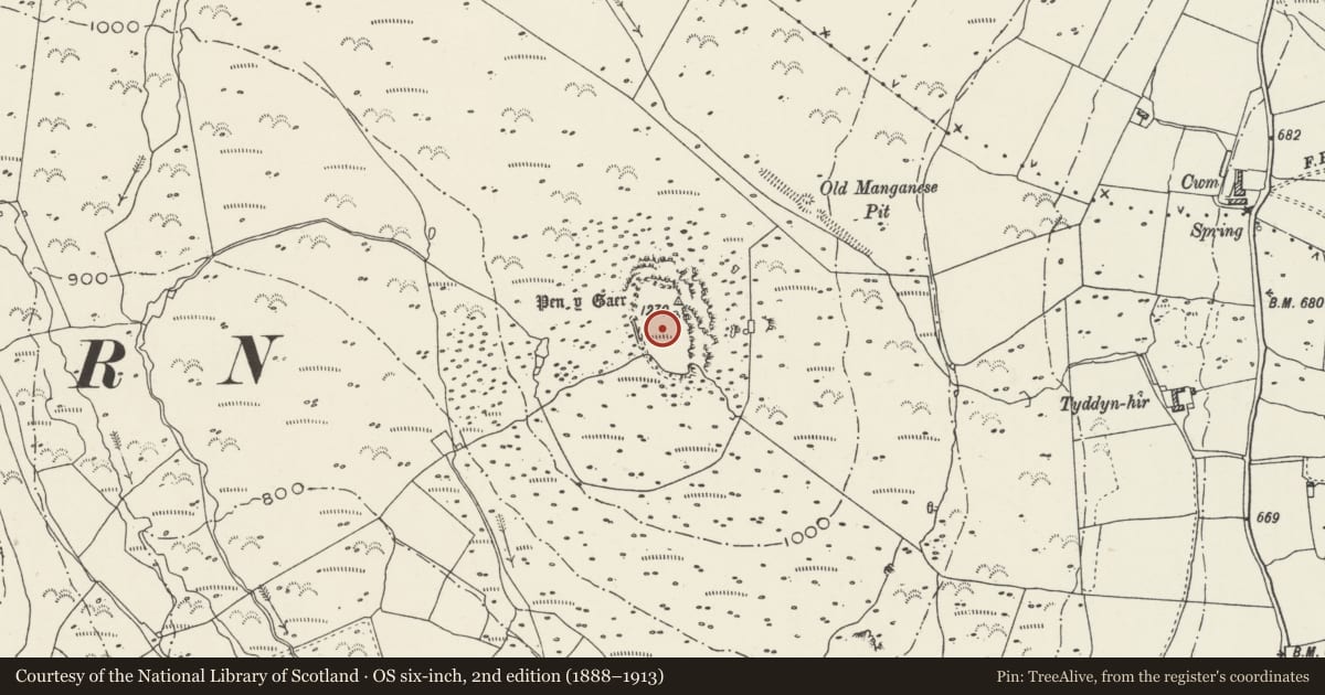 Ordnance Survey six-inch map, 2nd edition (1888–1913) covering the location of Pen y Gaer Camp, Llanaelhaearn, Gwynedd, with a pin at the register's coordinates