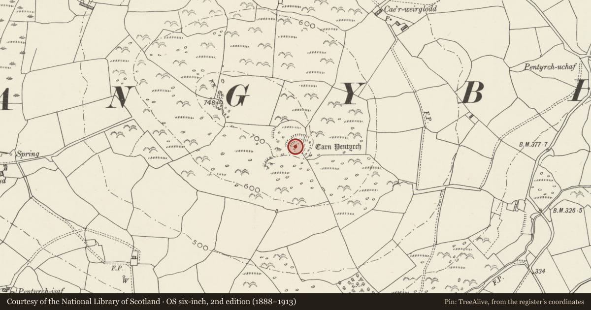 Ordnance Survey six-inch map, 2nd edition (1888–1913) covering the location of Carn Pentyrch Camp, Llanystumdwy, Gwynedd, with a pin at the register's coordinates