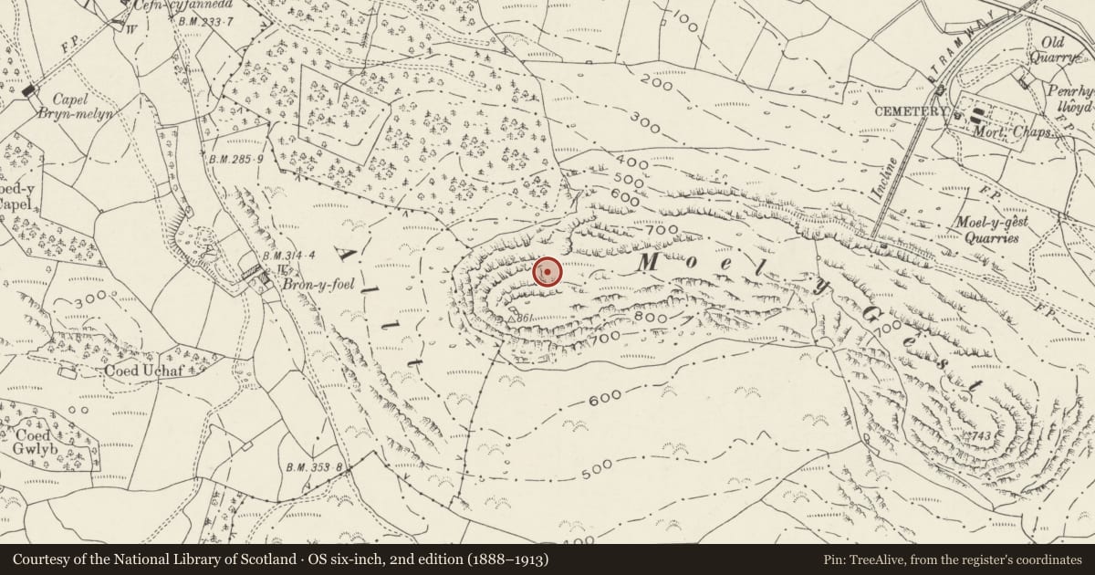 Ordnance Survey six-inch map, 2nd edition (1888–1913) covering the location of Moel y Gest Camp, Porthmadog, Gwynedd, with a pin at the register's coordinates