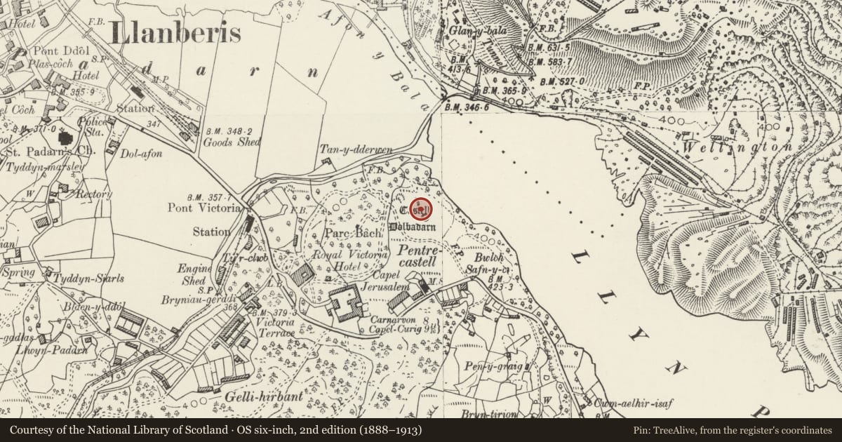 Ordnance Survey six-inch map, 2nd edition (1888–1913) covering the location of Castell Dolbadarn, Llanberis, Gwynedd, with a pin at the register's coordinates