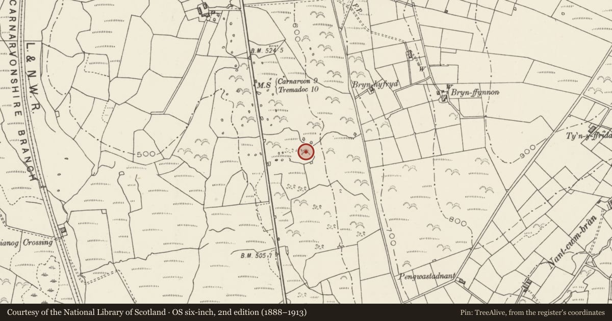 Ordnance Survey six-inch map, 2nd edition (1888–1913) covering the location of Caerau Ancient Village, Llanllyfni, Gwynedd, with a pin at the register's coordinates