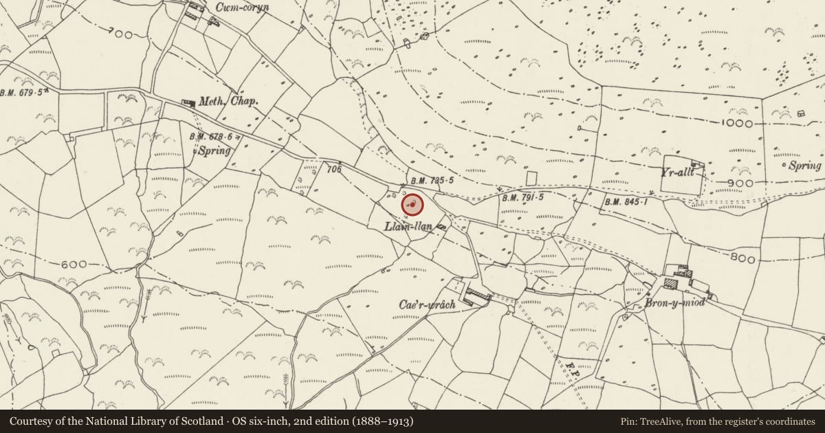 Ordnance Survey six-inch map, 2nd edition (1888–1913) covering the location of Ancient Village N of Llainllan, Llanaelhaearn, Gwynedd, with a pin at the register's coordinates