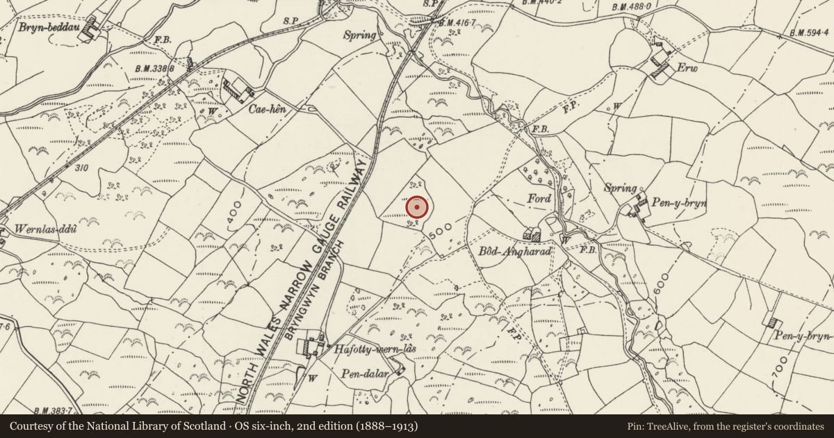 Ordnance Survey six-inch map, 2nd edition (1888–1913) covering the location of Ancient Village 270m West of Bod Angharad, Llanwnda, Gwynedd, with a pin at the register's coordinates