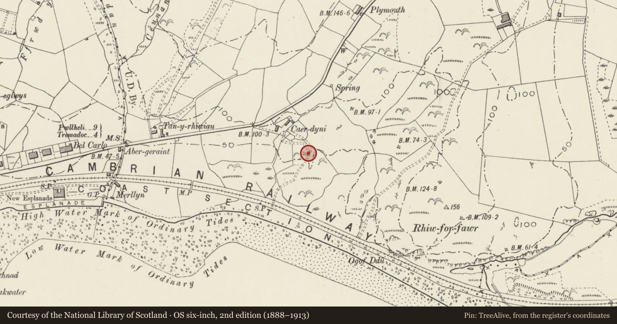 Ordnance Survey six-inch map, 2nd edition (1888–1913) covering the location of Caer-Dynni Burial Chamber, Criccieth, Gwynedd, with a pin at the register's coordinates