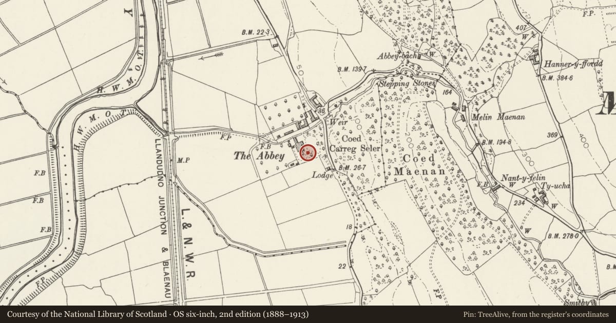 Ordnance Survey six-inch map, 2nd edition (1888–1913) covering the location of Site of Aberconwy Abbey, Maenan, Llanddoged and Maenan, Conwy, with a pin at the register's coordinates