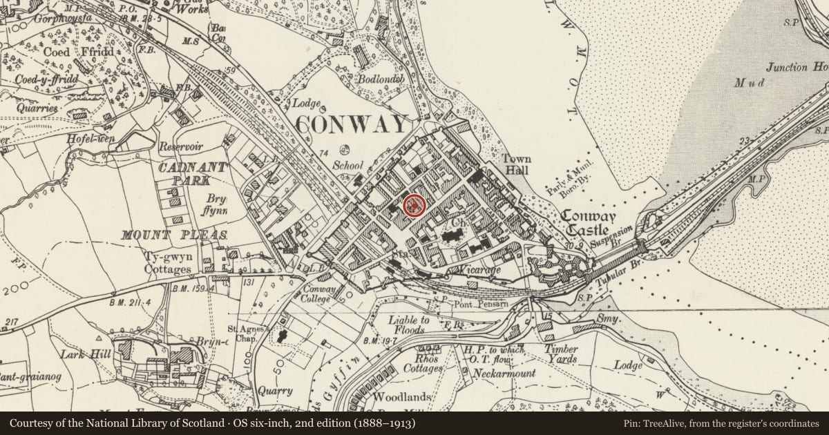 Ordnance Survey six-inch map, 2nd edition (1888–1913) covering the location of Plas Mawr, Conwy, with a pin at the register's coordinates