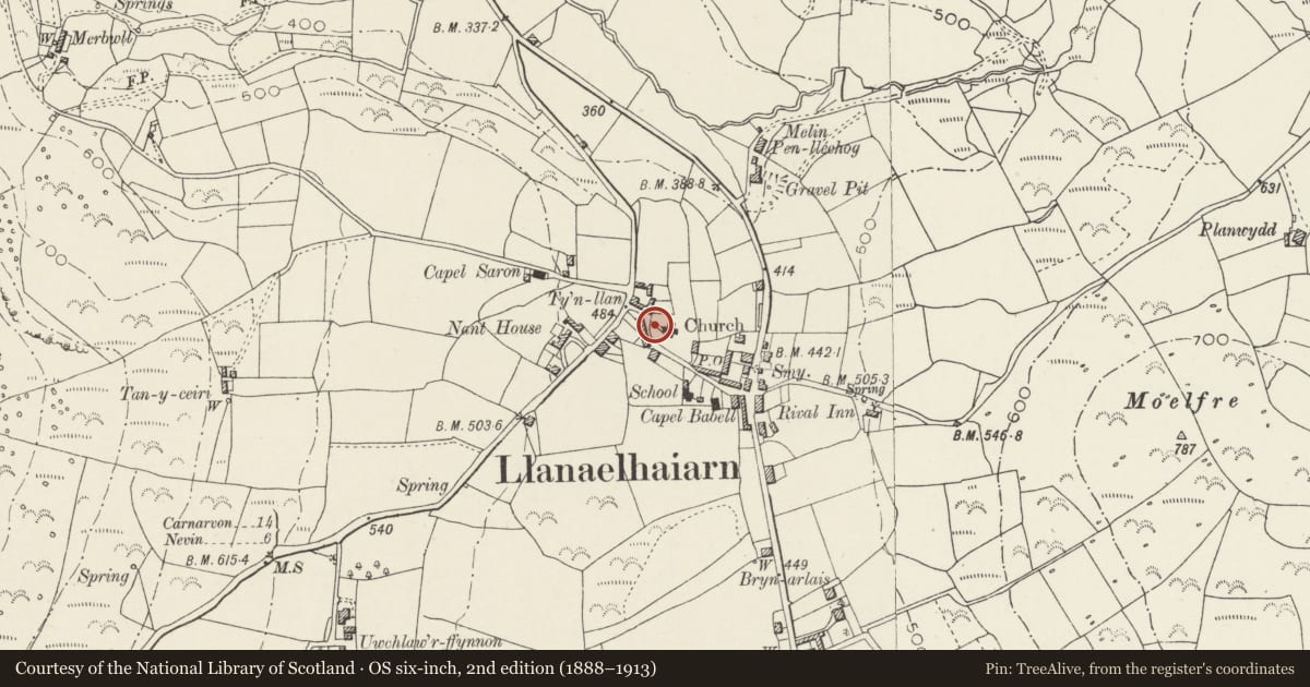 Ordnance Survey six-inch map, 2nd edition (1888–1913) covering the location of Early Christian Inscribed Stone in the Churchyard, Llanaelhaearn, Gwynedd, with a pin at the register's coordinates