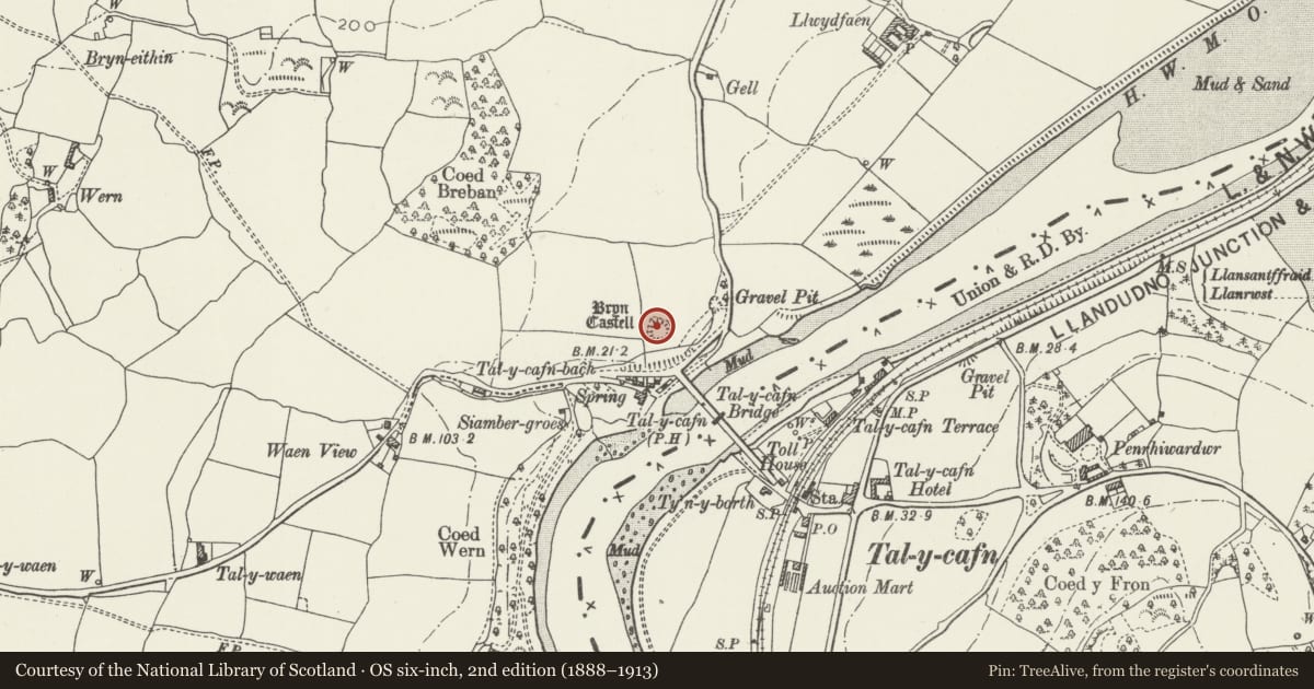 Ordnance Survey six-inch map, 2nd edition (1888–1913) covering the location of Bryn Castell, Caerhun, Conwy, with a pin at the register's coordinates