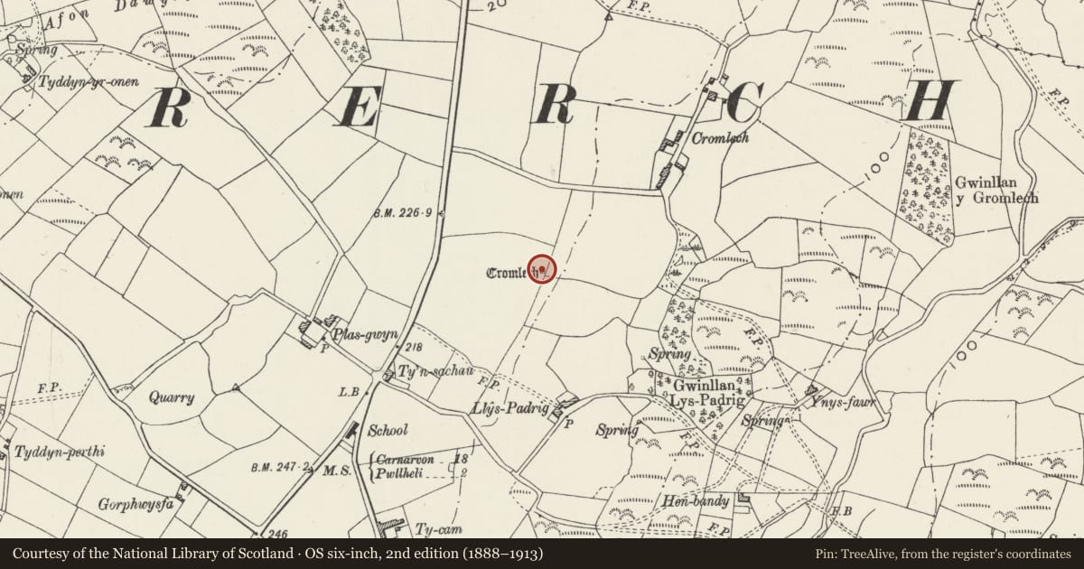 Ordnance Survey six-inch map, 2nd edition (1888–1913) covering the location of Cromlech Farm Burial Chamber, Four Crosses, Llannor, Gwynedd, with a pin at the register's coordinates